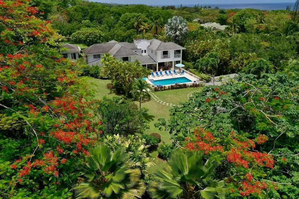 Luxury Villa With A Stunning Private Swimming Pool Saint James